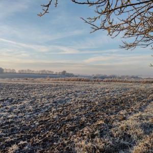 Shimpling Frost Field